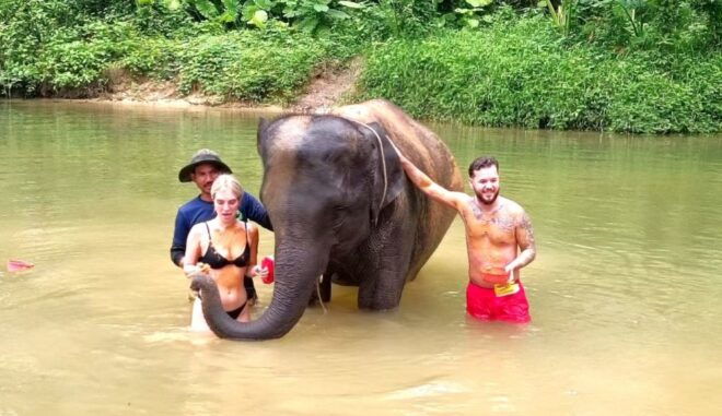 Khao Lak: Elephant Sanctuary Guided Tour - Pickup and Transportation