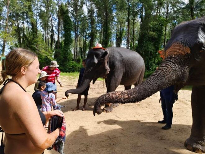 Khao Lak: Elephant Sanctuary Guided Tour - Customer Reviews
