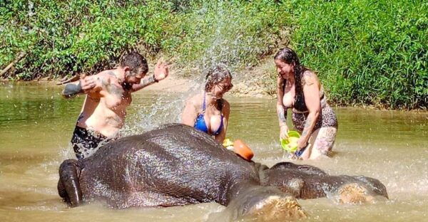 Khao Lak: Elephant Sanctuary Guided Tour - Common Questions
