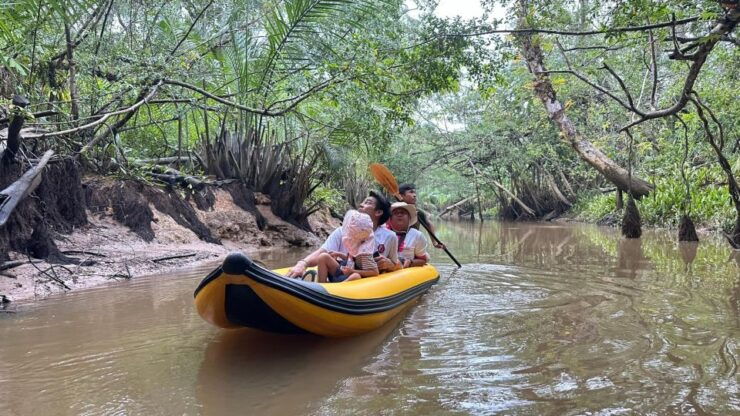 Khao Lak: Elephant Sanctuary Visit and Mangrove Kayak Tour - Activity Highlights