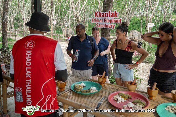 Khao Lak Ethical Elephant Sanctuary Conservation Experience - An Honest Look at the Experience