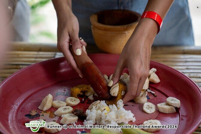 Khao Lak Ethical Elephant Sanctuary Conservation Experience - Final Thoughts