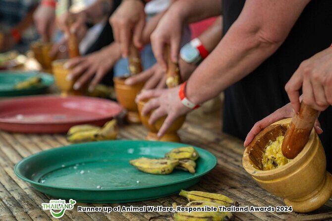 Khao Lak Ethical Elephant Sanctuary Conservation Experience - FAQ