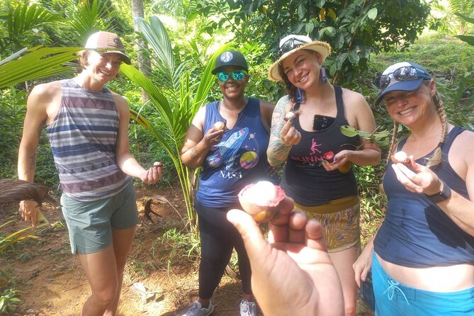 Khao Lak Ethical Elephant Sanctuary Small Group Tour - Pricing and Booking