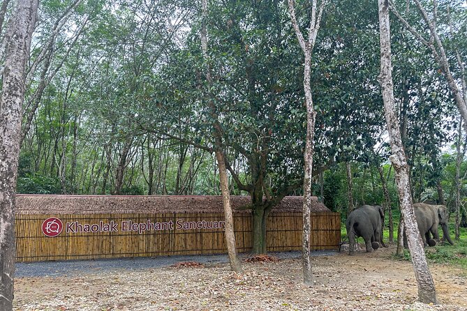 Khao Lak Ethical Elephant Sanctuary Small Group Tour - Pickup Details