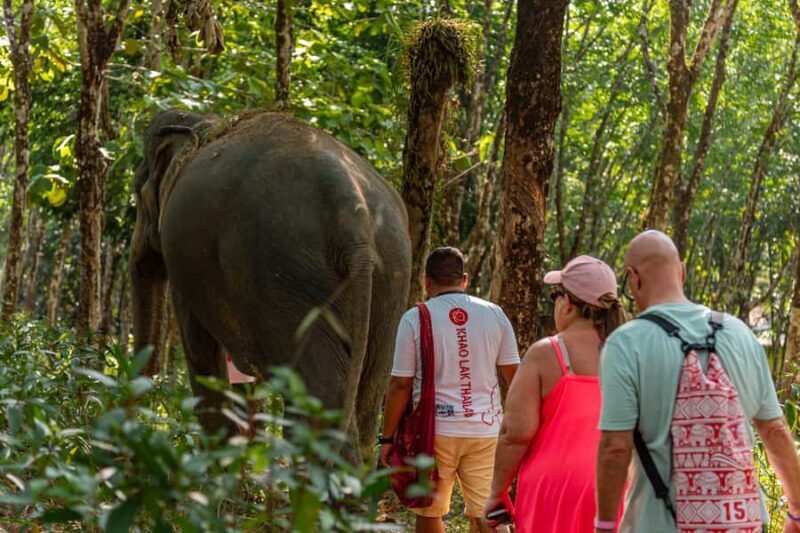 Khao Lak: Ethical Elephant, Zipline & ATV Premium Combo - Who Should Consider This Tour?
