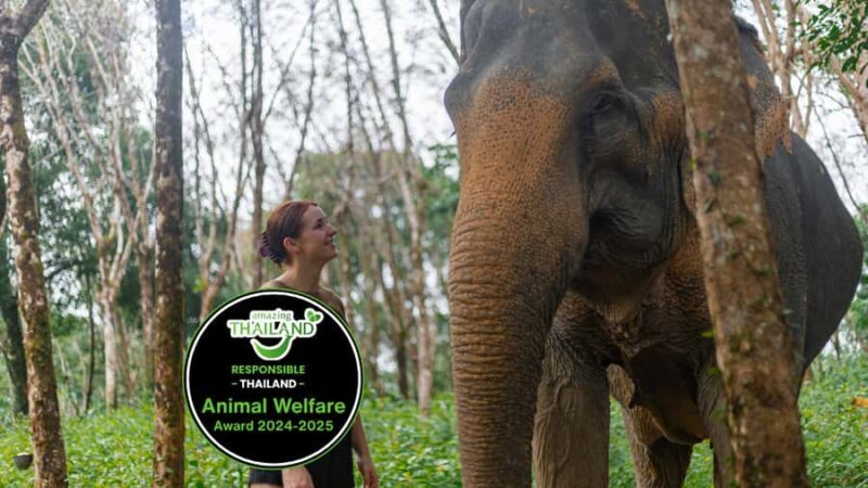 Khao Lak: Ethical Elephants & Zipline Combo Tour - Why This Tour Offers Real Value