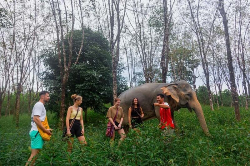 Khao Lak: Ethical Elephants & Zipline Combo Tour - FAQ