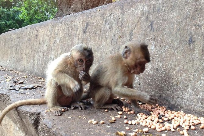 Khao Lak : Full-Day Temple Tour Including Dragon Cave - Tour Details