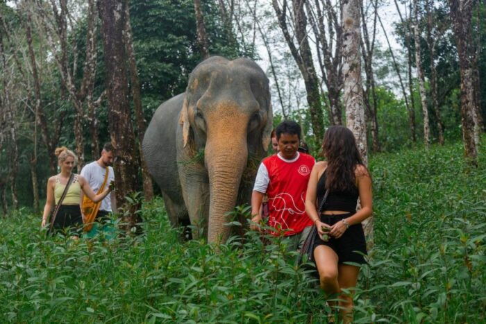 Khao Lak Guided Nature Walk & Elephant Experience - Frequently Asked Questions