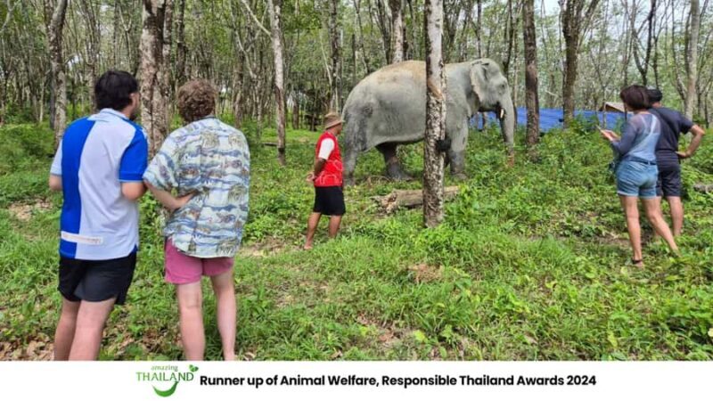 Khao Lak: Guided Tour to Elephant Sanctuary & Hotel Transfer - Authentic Experiences from Reviews