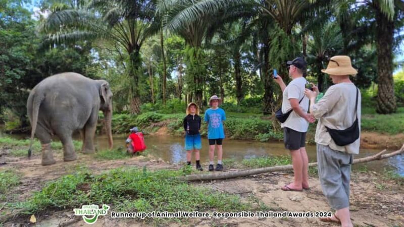 Khao Lak: Highlights with Temple, Turtles & Elephants Tours - Good To Know  