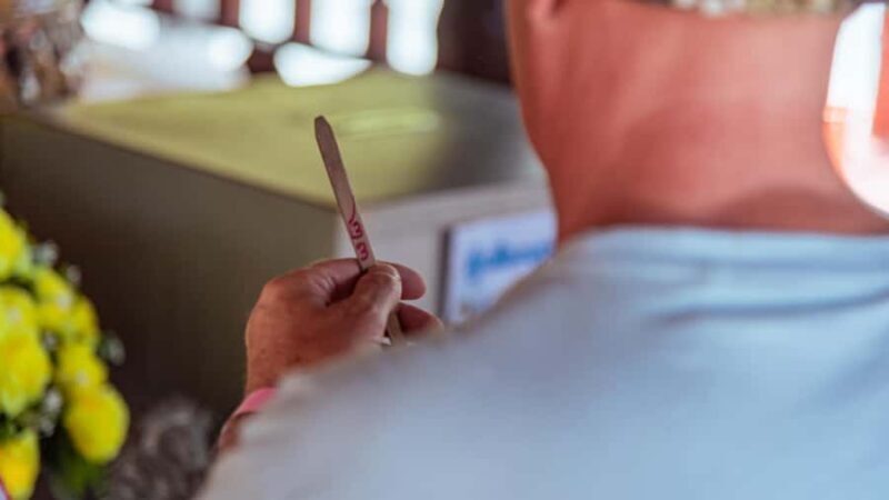 Khao Lak: Highlights with Temple, Turtles & Elephants Tours - Authentic Experiences and Local Insights  