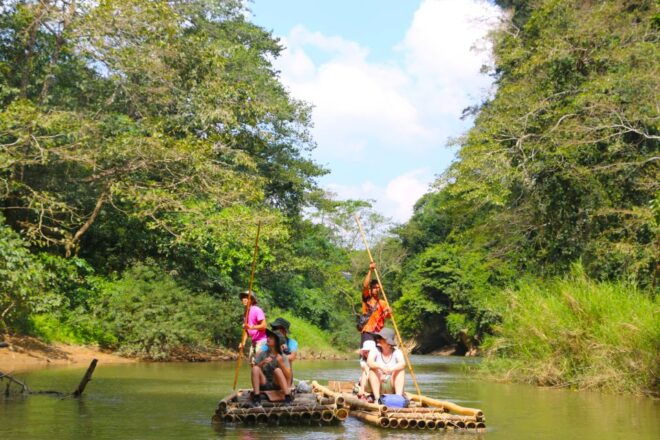 Khao Lak: Khao Sok Bamboo Rafting and Elephant Bathing Trip - Highlights of the Tour