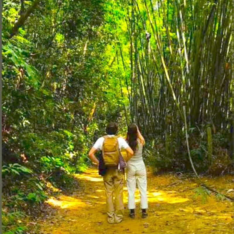 Khao Lak/Khao Sok : Khao Sok Trekking, Rafting, Lunch - FAQ