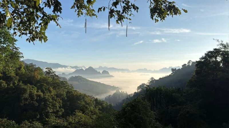Khao Lak/Khao Sok : Khao Sok Trekking, Rafting, Lunch - Scenic Highlights and Wildlife Spotting