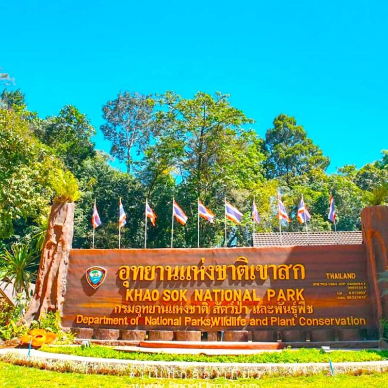 Khao Lak/Khao Sok : Khao Sok Trekking, Rafting, Lunch - Relaxing Bamboo Rafting — Gliding Through the Rainforest