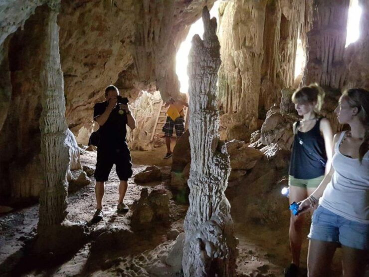 Khao Lak: Khao Sok National Park Overnight Treehouse Trip - Activity Details