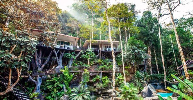 Khao Lak: Khao Sok National Park Overnight Treehouse Trip - Full Description