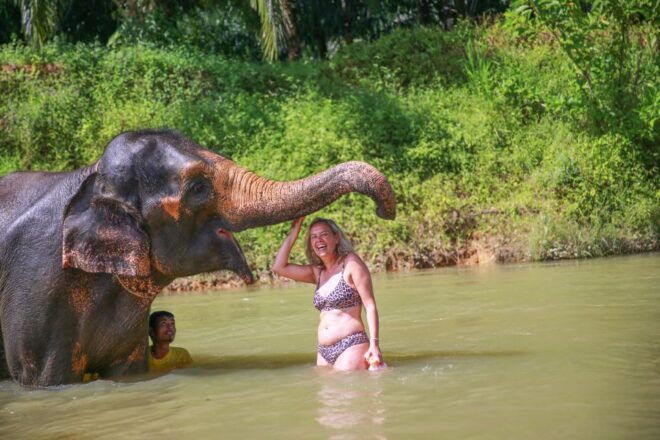 Khao Lak: Khao Sok National Park Overnight Treehouse Trip - Overnight Accommodation