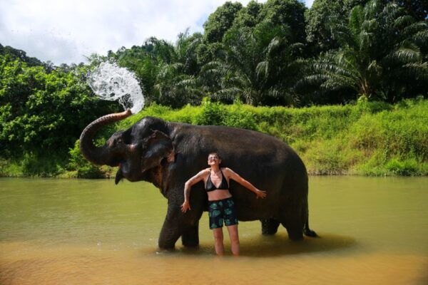 Khao Lak: Khao Sok National Park Overnight Treehouse Trip - Testimonials From Travelers