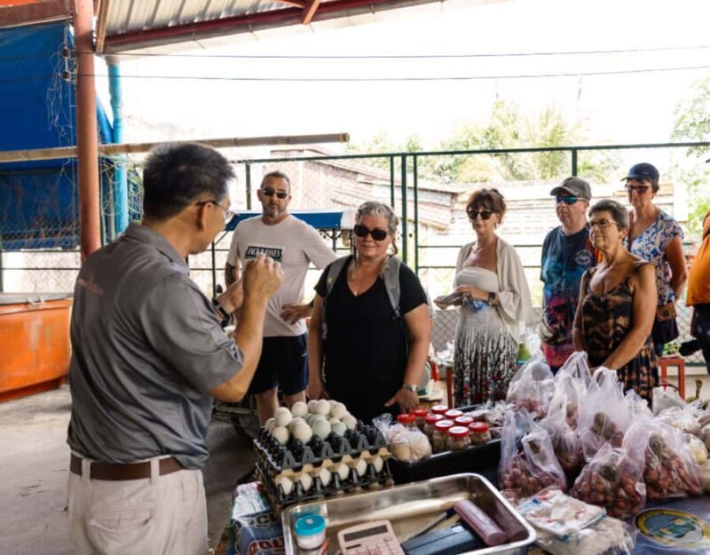 Khao Lak: Little Amazon Canoe & Old Town Tour with Lunch - Who Should Consider This Tour?  