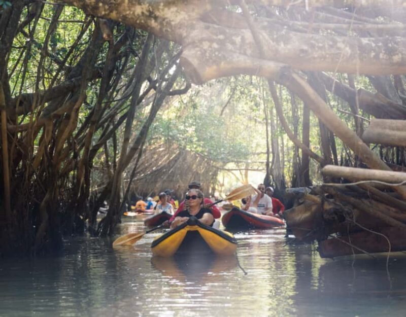 Khao Lak: Little Amazon Canoe & Old Town Tour with Lunch - Exploring the Full Experience