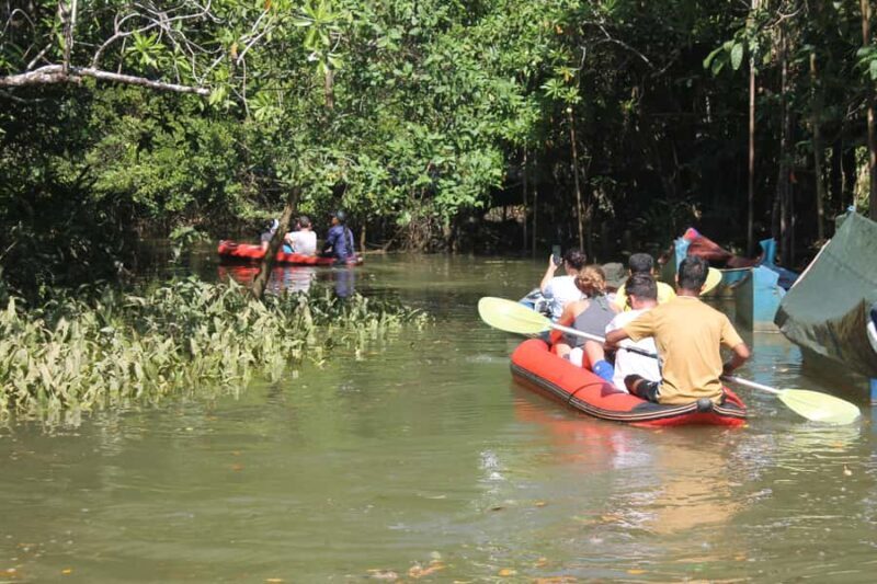 Khao lak: Little Amazon Canoe Trip to See Wildlife - An Authentic Wildlife Encounter in Khao Lak