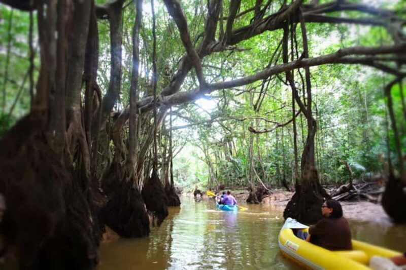Khao lak: Little Amazon Canoe Trip to See Wildlife - The Itinerary: What to Expect