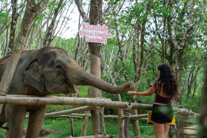 Khao Lak Multi-Adventure: Bamboo Rafting, ATV & Elephants - Transportation and Logistics