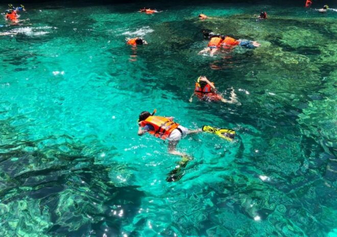 Khao Lak: Phi Phi & Bamboo Island Day Trip by Speedboat - Review Summary