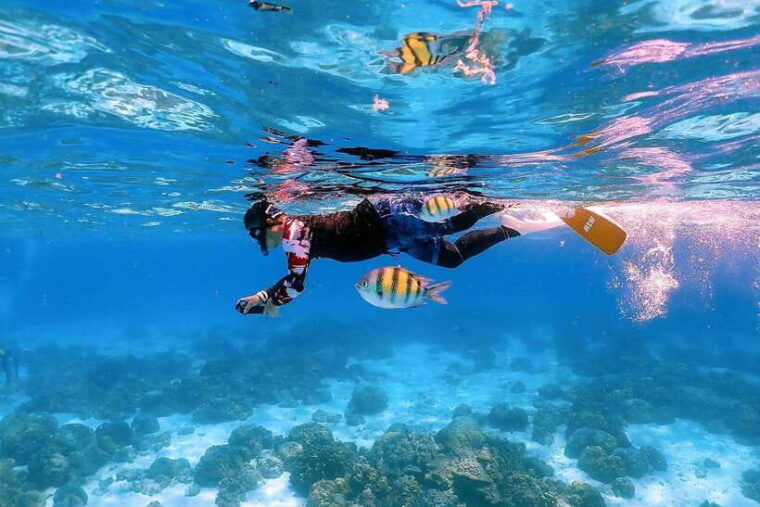 Khao Lak: Premium Tour to Racha Islands With Snorkel & Lunch - Included Experiences
