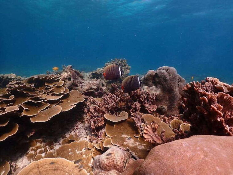 Khao Lak: Premium Tour to Racha Islands With Snorkel & Lunch - Important Considerations
