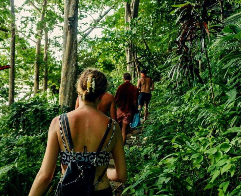 Khao Lak: Private Khao Sok Jungle Safari With Bamboo Rafting - Itinerary Highlights