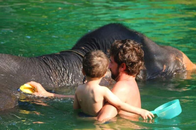 Khao Lak: Rafting, Elephant Bathing & Sea Turtle Center Tour - An in-Depth Look at the Tour Itinerary