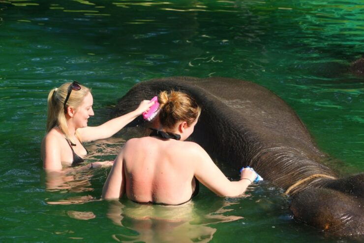 Khao Lak: Rafting, Elephant Bathing & Sea Turtle Center Tour - Tour Highlights
