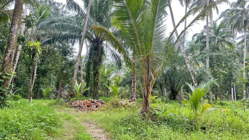 Khao Lak: River Tubing, Zipline & ATV Premium Combo - The Sum Up