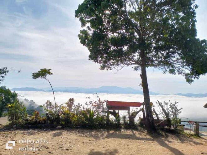 Khao Lak: Sea of Fog on Hill & Sunrise at Khao Khai Nui - Highlights of the Sunrise Tour