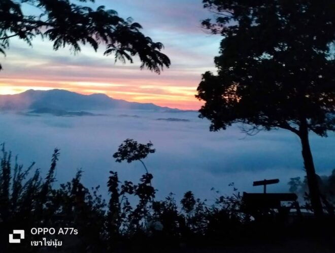 Khao Lak: Sea of Fog on Hill & Sunrise at Khao Khai Nui - Local Breakfast and Cuisine