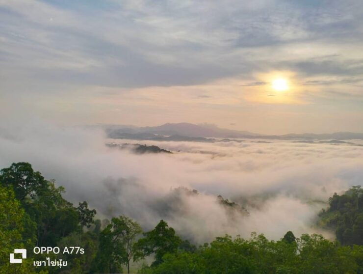 Khao Lak: Sea of Fog on Hill With Homestay One Night - Itinerary Details
