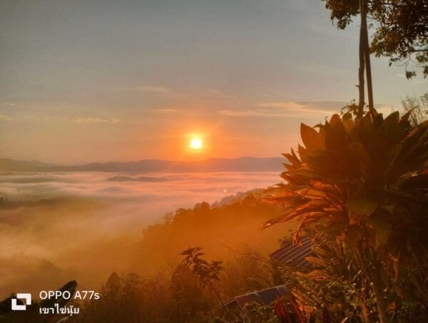 Khao Lak: Sea of Fog on Hill With Homestay One Night - Important Safety Information