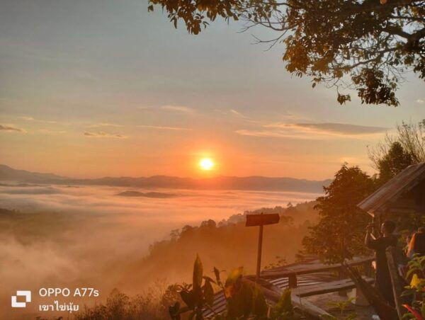 Khao Lak: Sea of Fog on Hill With Homestay One Night - Booking and Cancellation Policy
