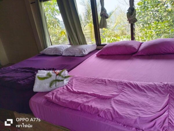 Khao Lak: Sea of Fog on Hill With Homestay One Night - Tips for a Memorable Stay