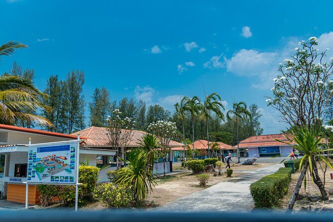 Khao Lak Sea Turtles Temples Bamboo Rafting Tour - Bamboo Rafting — A Serene Nature Escape