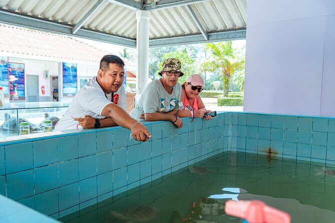 Khao Lak Sea Turtles Temples Bamboo Rafting Tour - Khaolak Waterside — Lunch and Relaxation