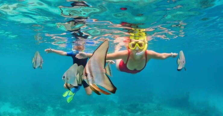 Khao Lak: Similan Islands Snorkeling Day Trip W/Meals - Booking and Logistics