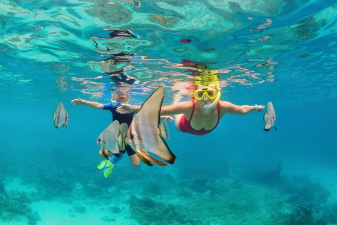 Khao Lak: Similan Islands Snorkeling Day Trip W/Meals - Live Tour Guide and Optional Pickup