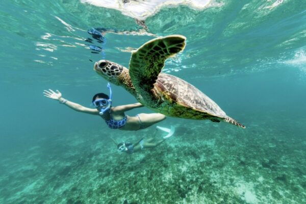Khao Lak: Similan Islands Snorkeling Day Trip W/Meals - Common Questions