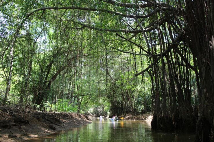 Khao Lak: Sri Phang Nga Canoe and Tam Nang Waterfall Tour - Booking Details