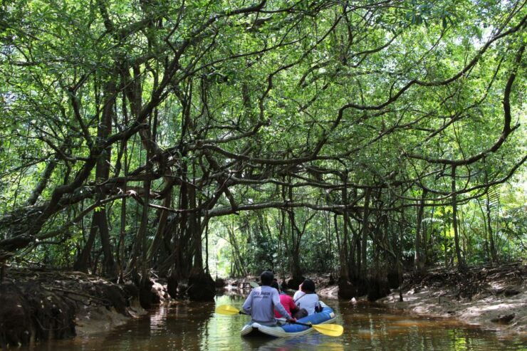 Khao Lak: Sri Phang Nga Canoe and Tam Nang Waterfall Tour - Experience Highlights